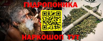 сатива Жуковский