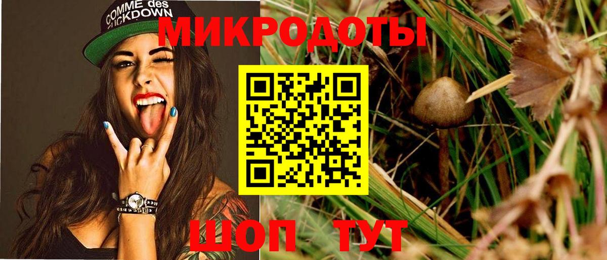 Магнитогорск  Псилоцибиновые грибы Psilocybe  сколько стоит  Вход с VPN 