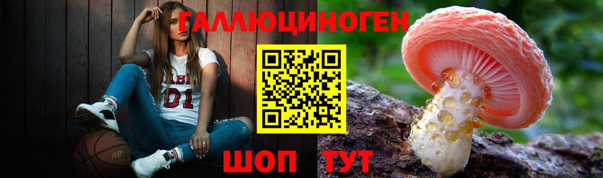 Псилоцибиновые грибы Cubensis Магнитогорск